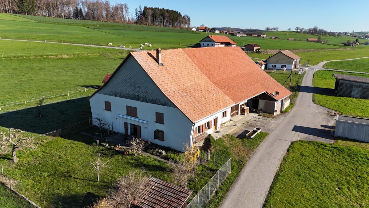 A vendre   Suisse - partenariat avec Smart-Propylaia Portail Immobilier