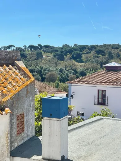 House for sale in Melides (12)
