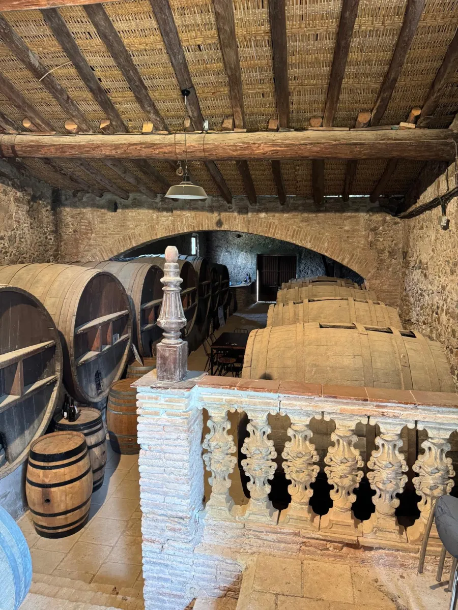 Commercio/industria in vendita a Tarragone - Smart Propylaia (5)
