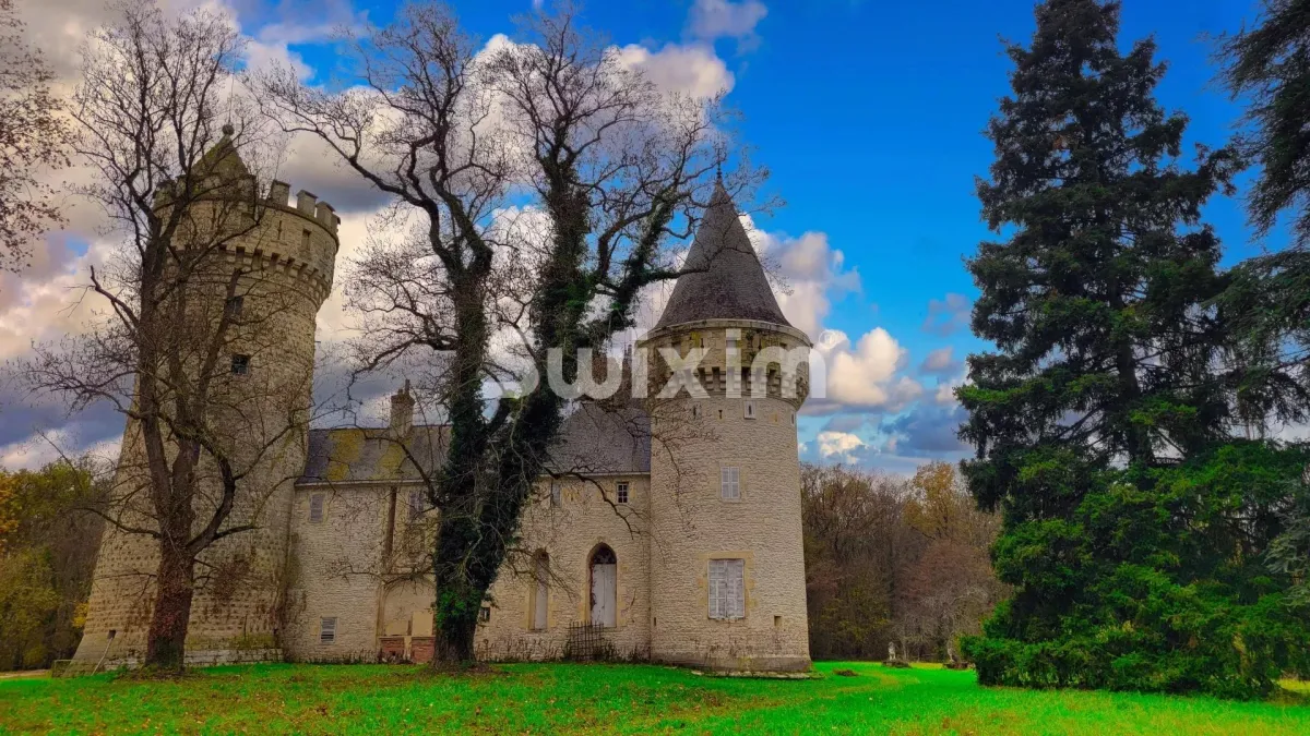 House for sale in Nevers - Magnificent 12th-14th century Castle  in Berry - Smart Propylaia (3)