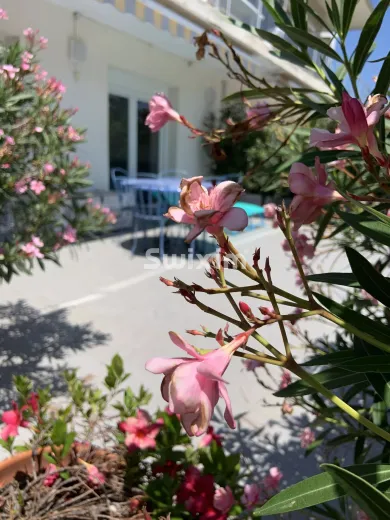 Appartement à vendre à Cavalaire-Sur-Mer (4)
