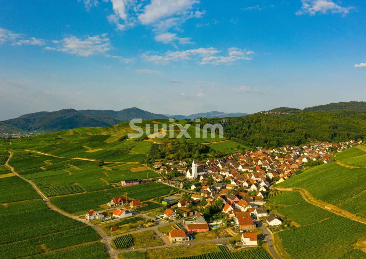 Maison à vendre à Katzenthal - Smart Propylaia (14)