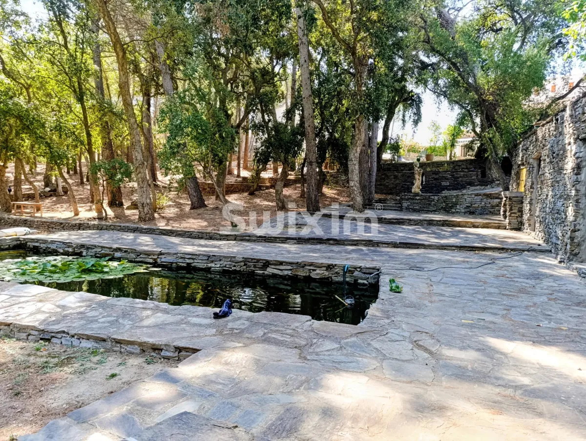 Maison à vendre à Perpignan - Smart Propylaia (8)