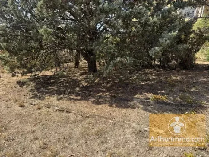 Plot for sale in Millau (19)