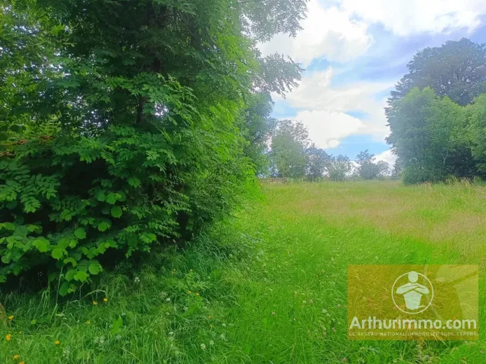 Plot for sale in Saint-Laurent-De-Muret (2)