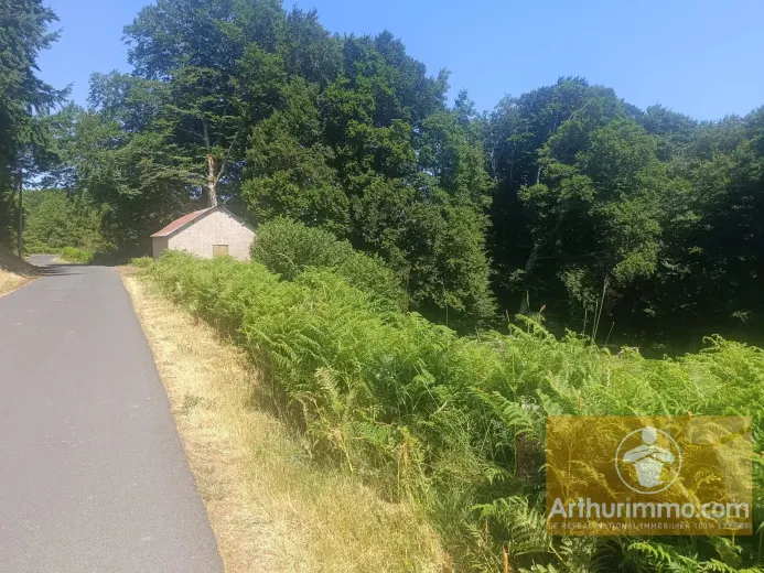 Plot for sale in Saint-Laurent-De-Muret (6)