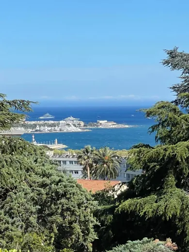 Appartamento in vendita a Cannes (3)