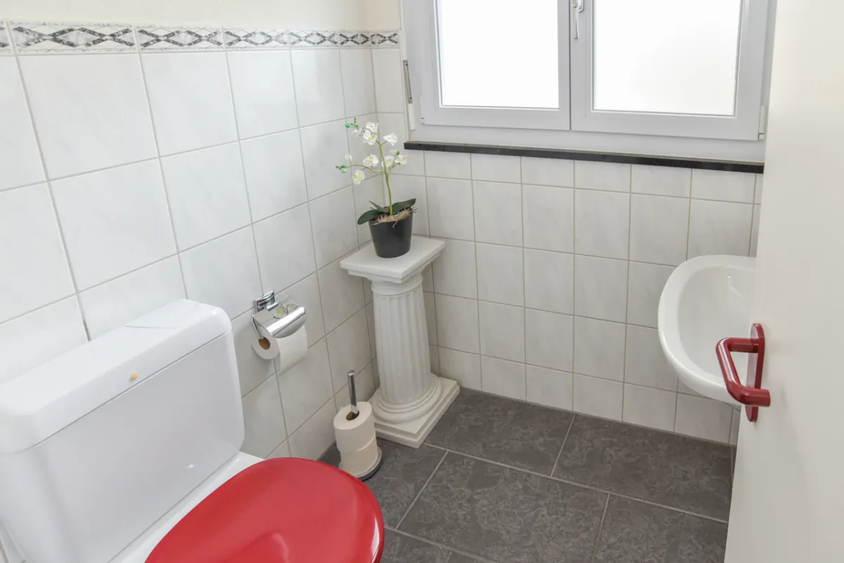 Haus zu verkaufen in Teufenthal AG - Smart Propylaia (8)