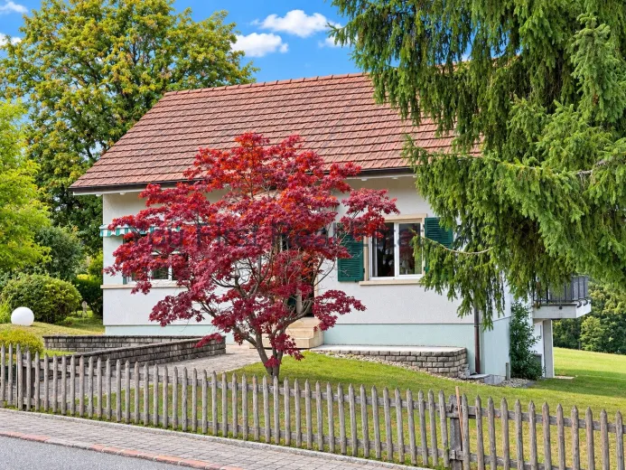 Haus zu verkaufen in Metzerlen (5)