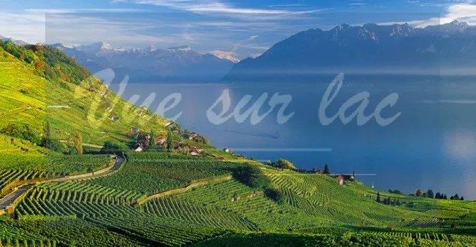 For sale   Switzerland - cChic-immoHub your real estate portal