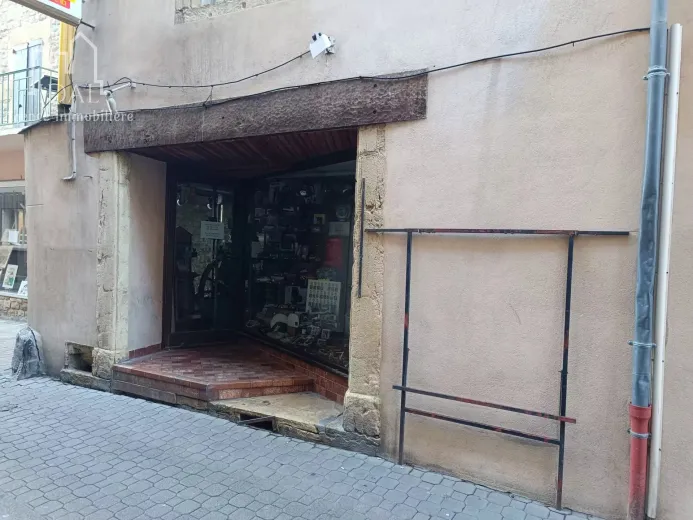 Multiple dwelling for sale in Marvejols (2)