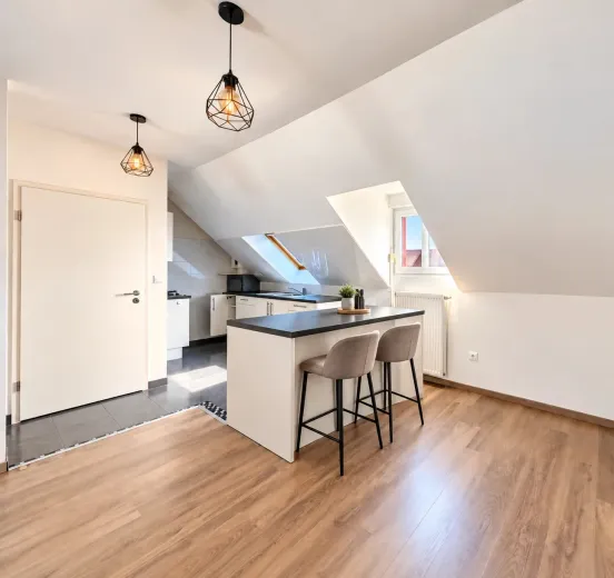 Wohnung zu verkaufen in Colmar (2)