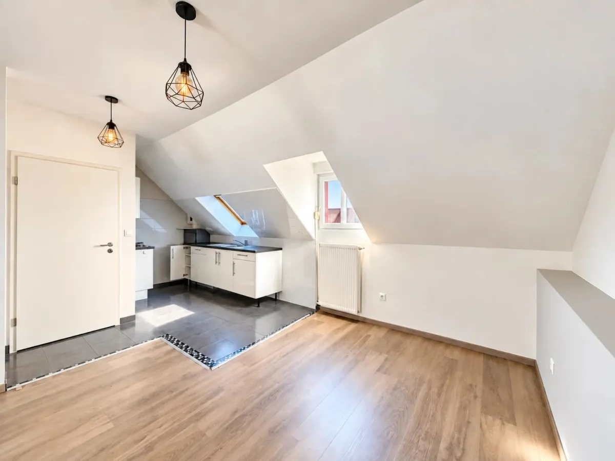Wohnung zu verkaufen in Colmar - Colmar Zentrum - 3 ruhige Zimmer - kleine Eigentümergemeinschaft - Smart Propylaia (9)