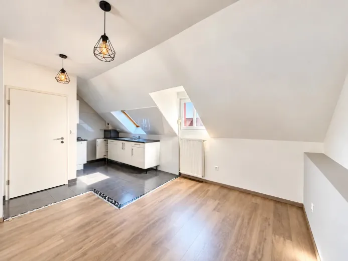 Wohnung zu verkaufen in Colmar (9)