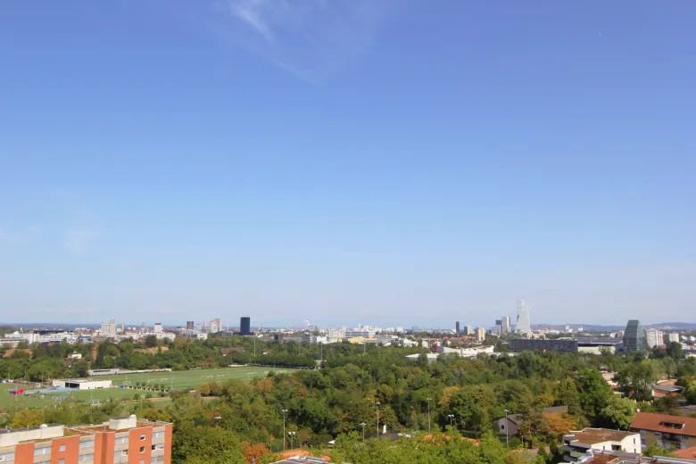 Wohnung zu verkaufen in Muttenz (11)