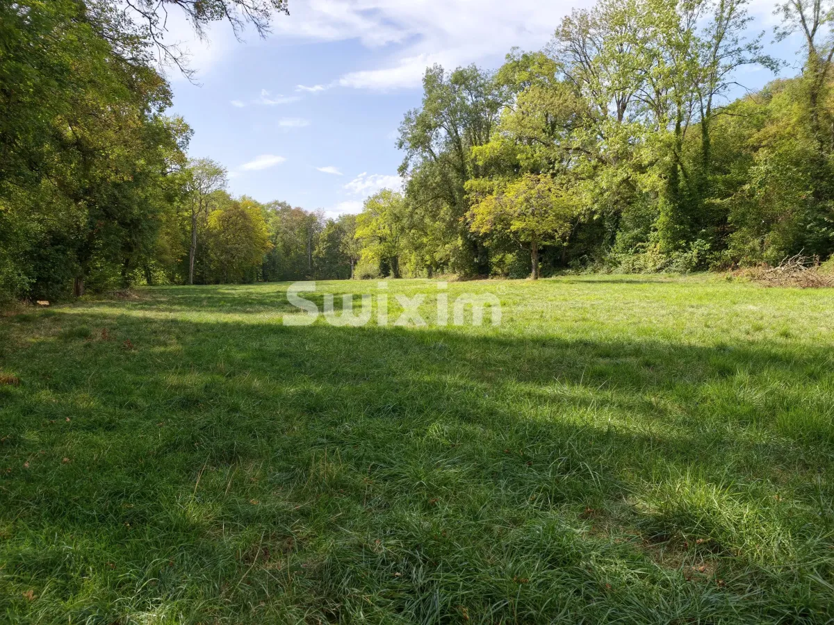 Casa in vendita a Nuits-Saint-Georges - Proprietà in vendita a Nuits-Saint-Georges, 7 locali, 342 m2 - Smart Propylaia (3)