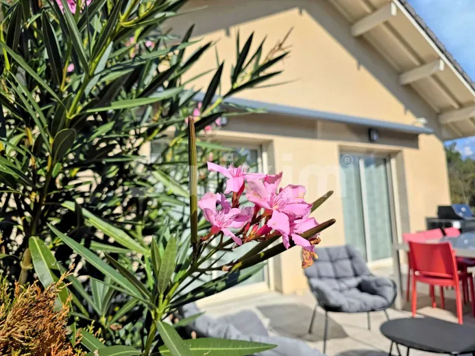 Maison à vendre à Entrelacs