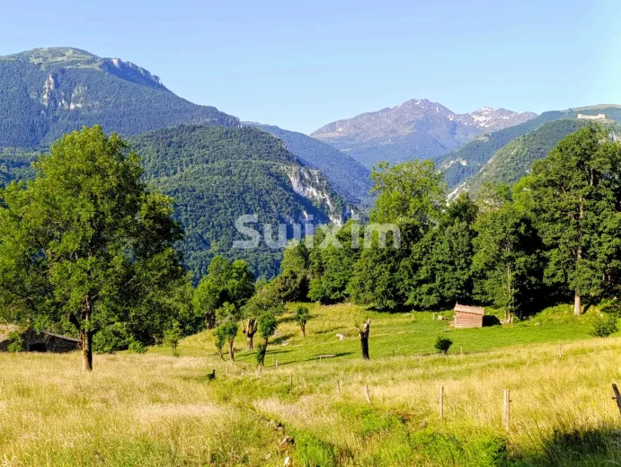 House for sale in Montsegur (12)