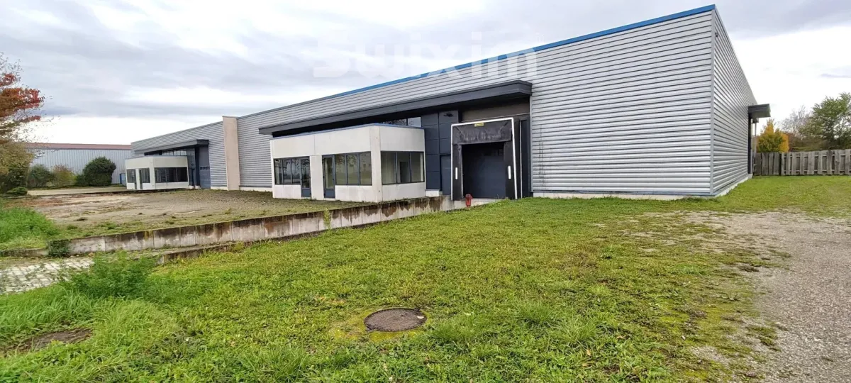 Commerce/industrie à vendre à Selestat - Smart Propylaia (8)