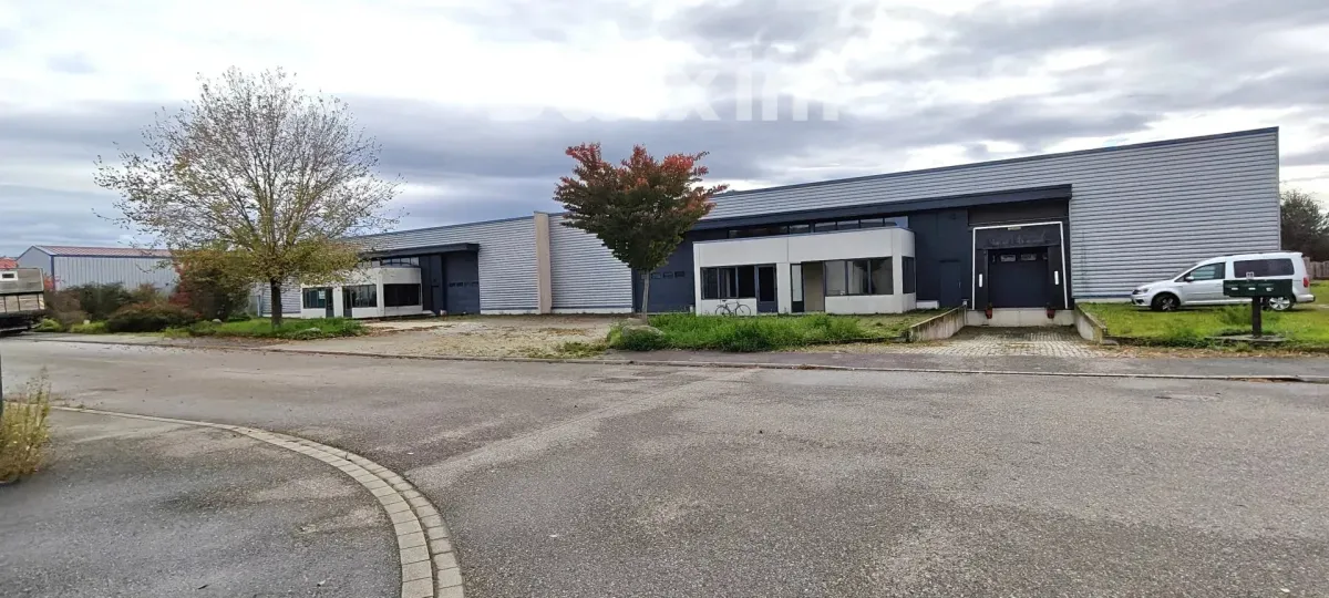 Commerce/industrie à vendre à Selestat - GRAND HALL INDUSTRIEL - Smart Propylaia (9)