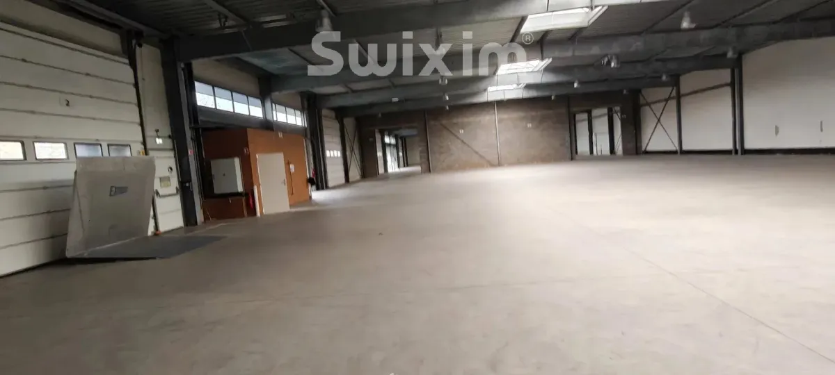 Commerce/industrie à vendre à Selestat - GRAND HALL INDUSTRIEL - Smart Propylaia (12)