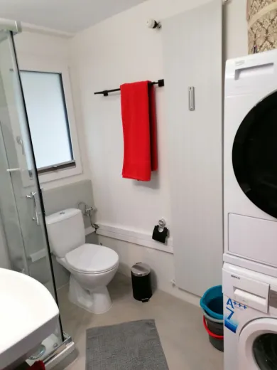 Wohnung zu vermieten in Mörel
