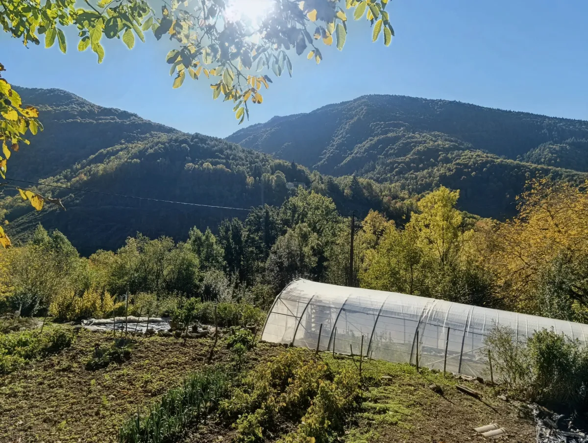 Multiple dwelling for sale in Montsegur - Smart Propylaia (7)