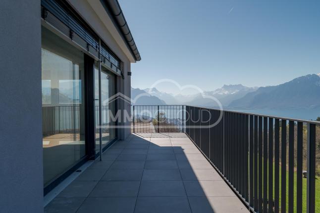 Apartment for sale in Jongny (7)