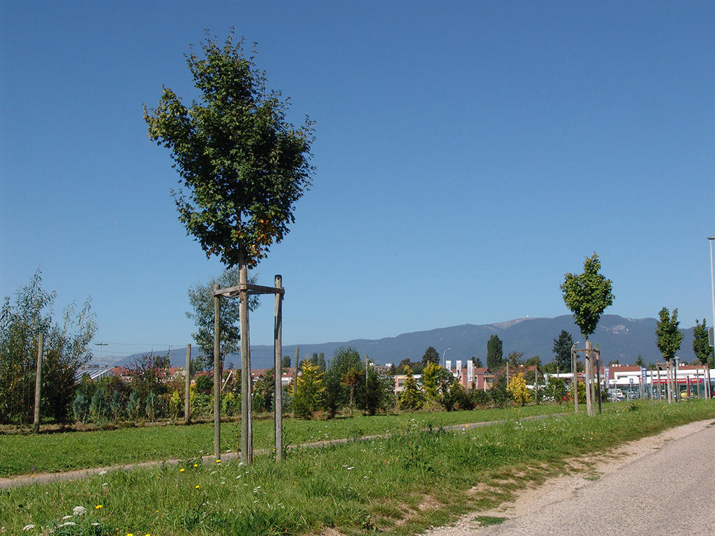 A vendre   Suisse - partenariat avec Smart-Propylaia Portail Immobilier