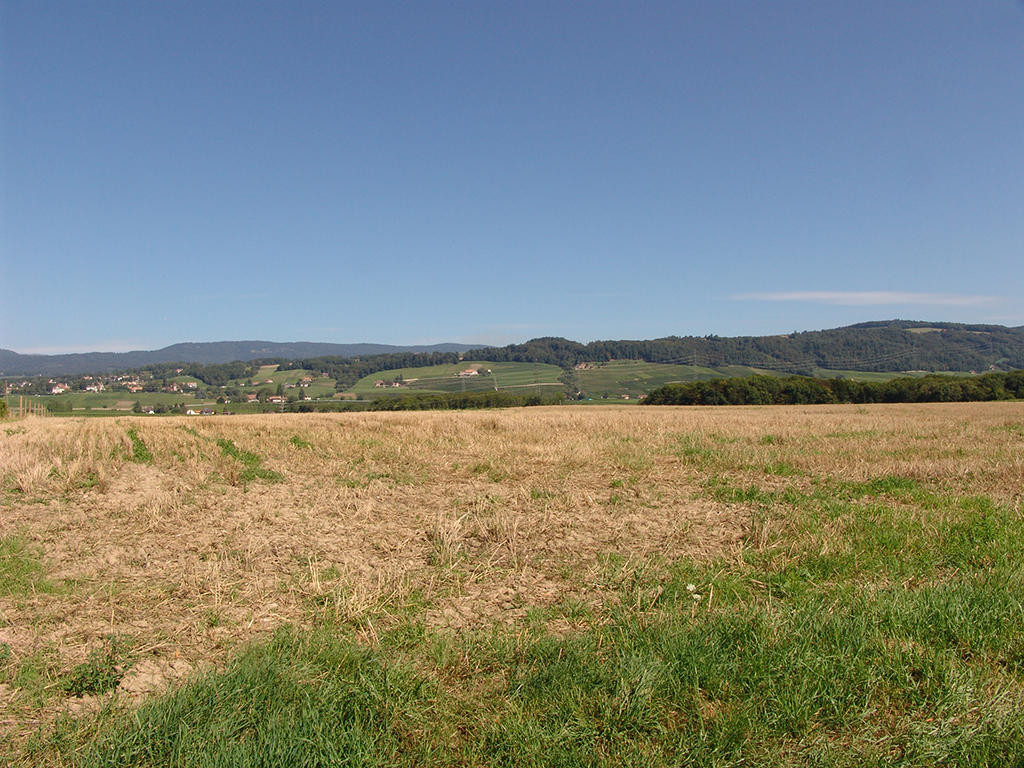 A vendre   Suisse - partenariat avec Smart-Propylaia Portail Immobilier