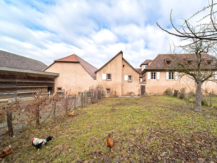 Casa in vendita a Wintzenheim - Casa unifamiliare in vendita a Wintzenheim, 21 locali, 1310 m2 - Smart Propylaia (6)