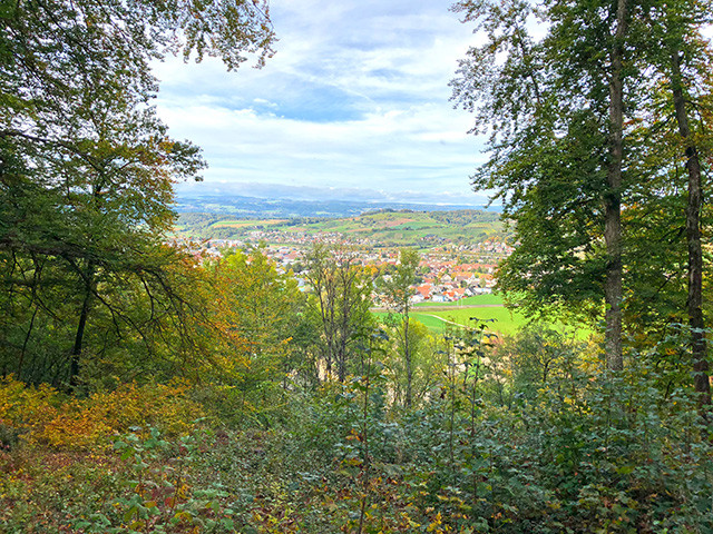 A vendre   Suisse - partenariat avec Smart-Propylaia Portail Immobilier