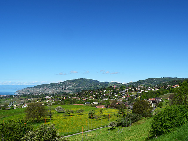 A vendre   Suisse - partenariat avec Smart-Propylaia Portail Immobilier