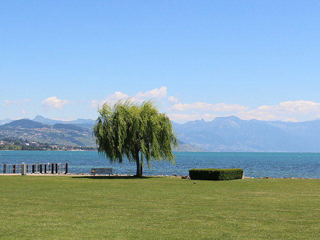 A vendre   Suisse - partenariat avec Smart-Propylaia Portail Immobilier