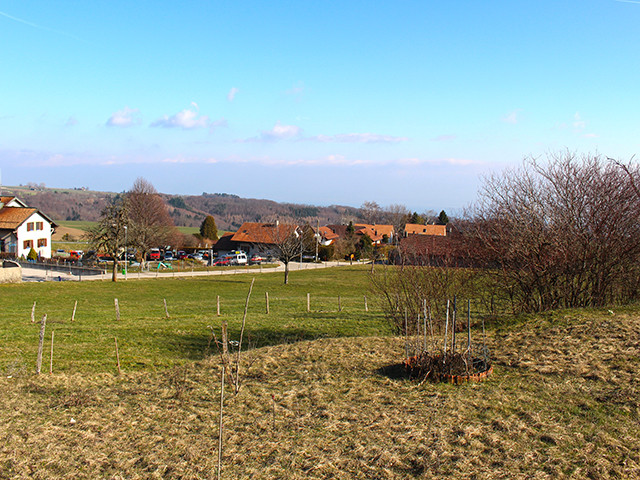 A vendre   Suisse - partenariat avec Smart-Propylaia Portail Immobilier