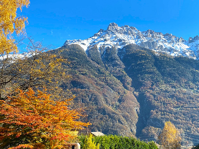 A vendre   Suisse - partenariat avec Smart-Propylaia Portail Immobilier