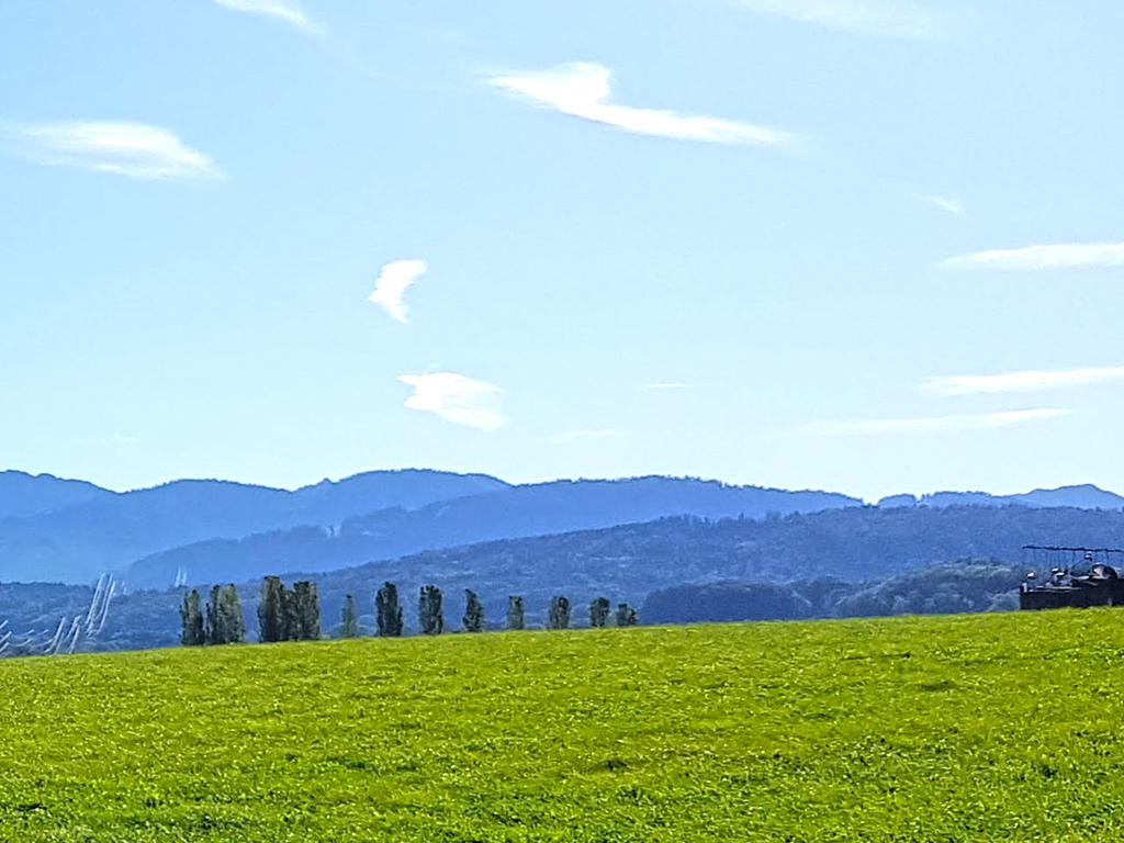 A vendre   Suisse - partenariat avec Smart-Propylaia Portail Immobilier