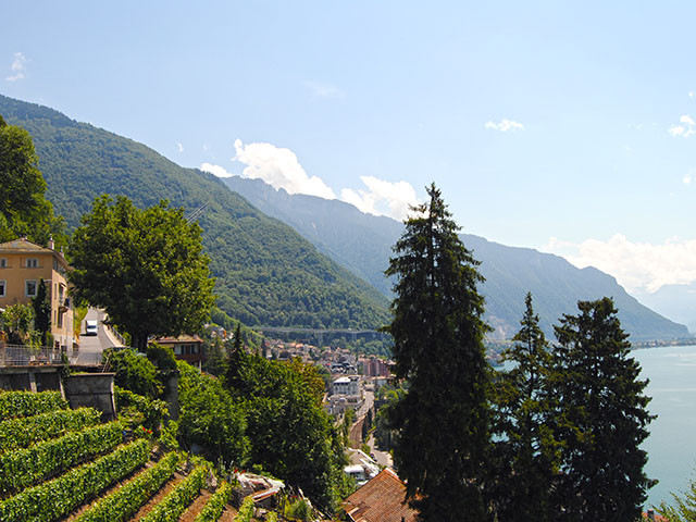 A vendre   Suisse - partenariat avec Smart-Propylaia Portail Immobilier