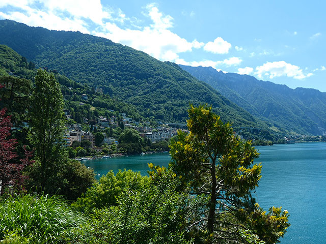 A vendre   Suisse - partenariat avec Smart-Propylaia Portail Immobilier