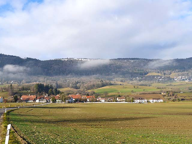 A vendre   Suisse - partenariat avec Smart-Propylaia Portail Immobilier