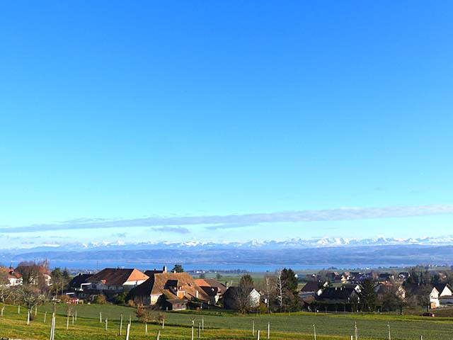 A vendre   Suisse - partenariat avec Smart-Propylaia Portail Immobilier