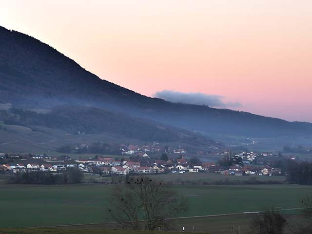 A vendre   Suisse - partenariat avec Smart-Propylaia Portail Immobilier