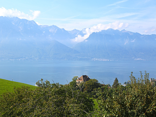 A vendre   Suisse - partenariat avec Smart-Propylaia Portail Immobilier