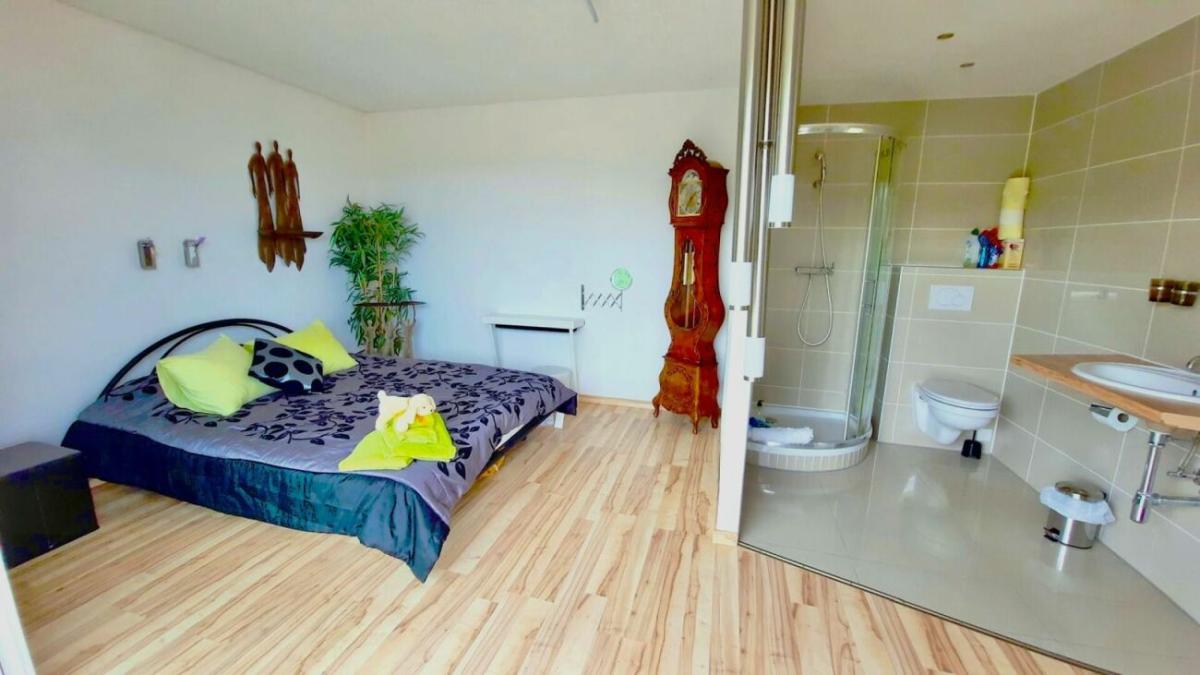 In affito   Svizzera - collaborazione con il portale immobiliare Smart-Propylaia