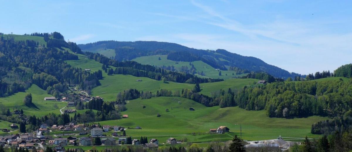 To rent   Switzerland - in partnership with the real estate portal Smart-Propylaia