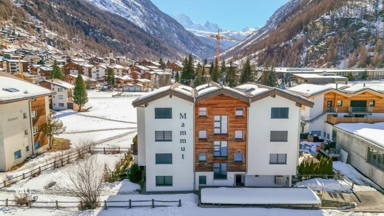 Appartamento in vendita a Täsch (22)