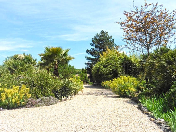 Casa in vendita a Meschers-sur-Gironde - Smart Propylaia (2)