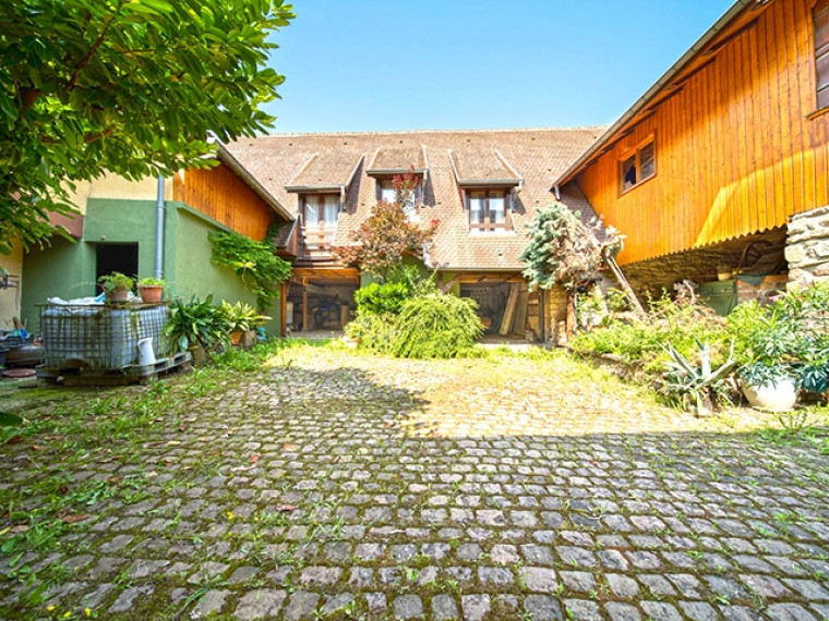 Haus zu verkaufen in Gueberschwihr (2)