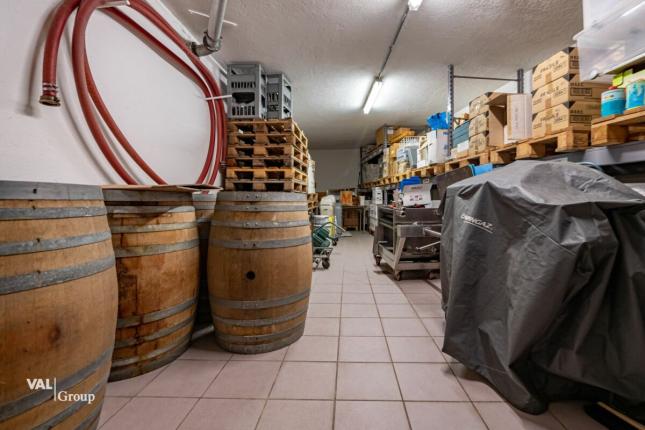 Handel/Industrie zu verkaufen in Salgesch (13)