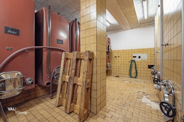 Handel/Industrie zu verkaufen in Salgesch (15)